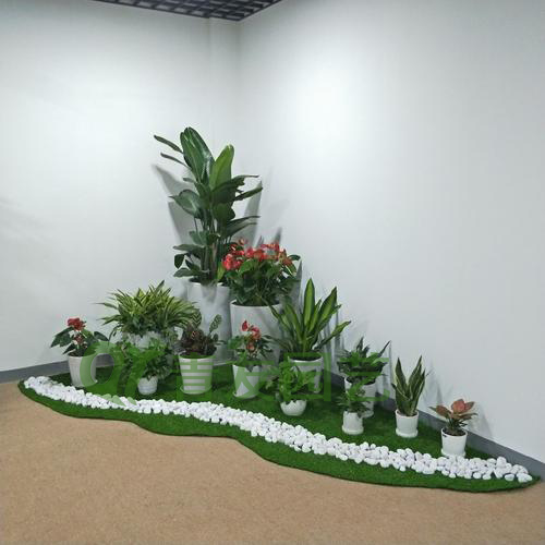 组合盆栽021-1